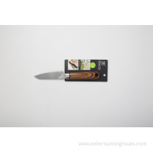 STAINLESS STEEL FRUIT KNIFE